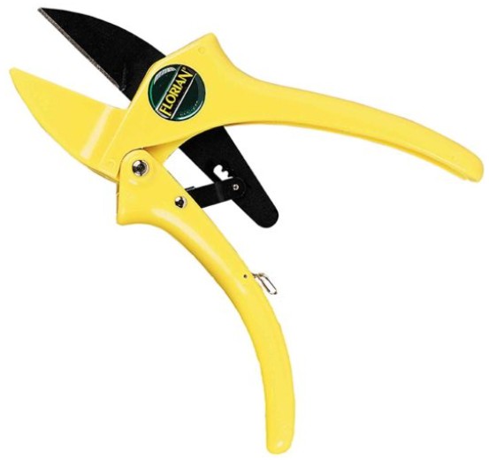 Florian Ratcheting Pruner